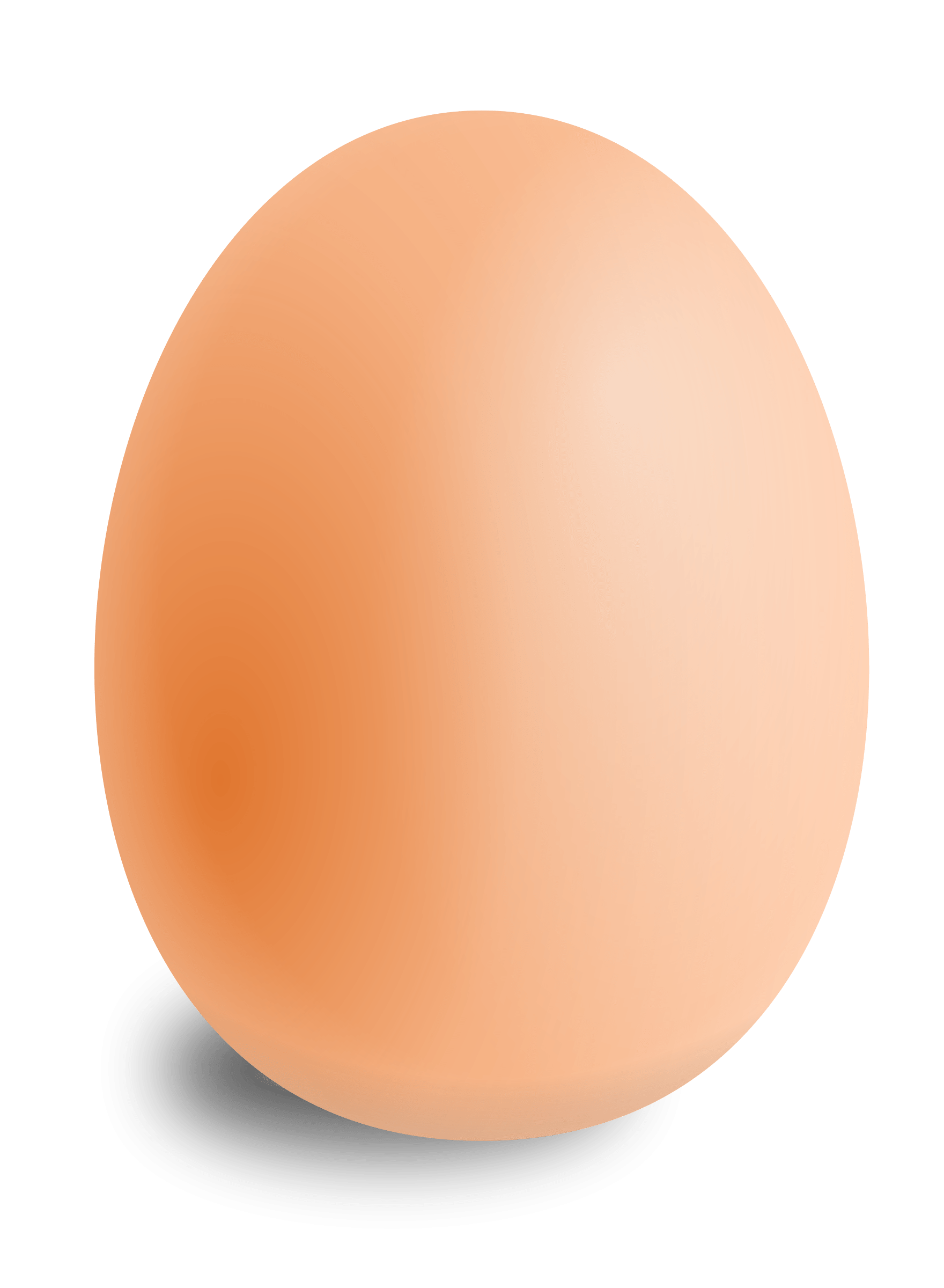 Telur PNG gambar Transparan