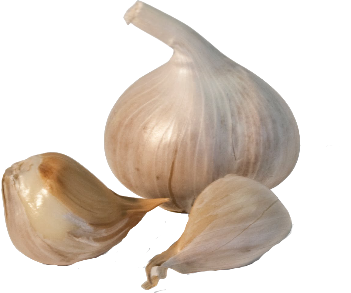 Garlic PNG Transparent Image