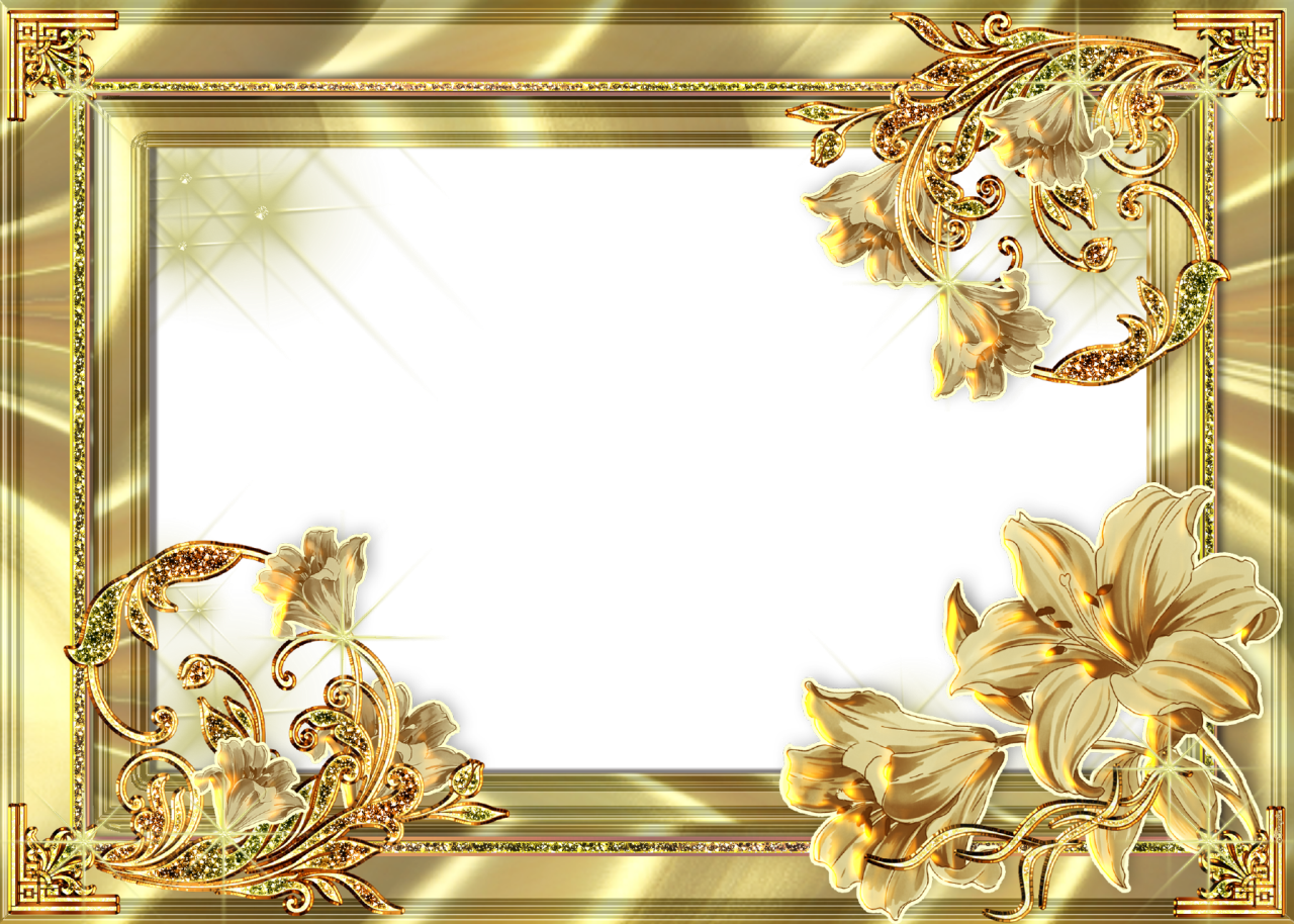 Gold Flower Frame PNG Photos
