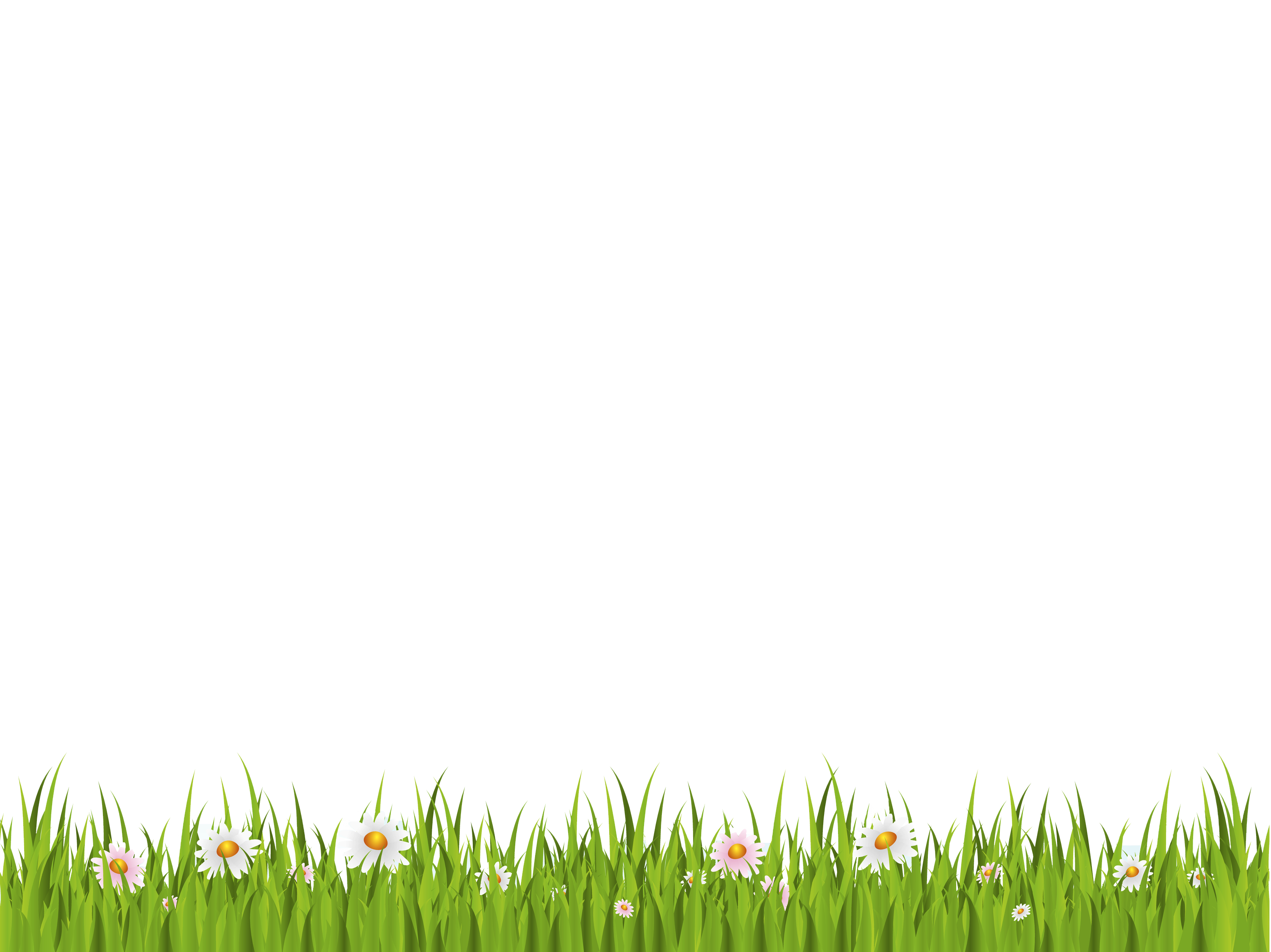 Green Background PNG Clipart