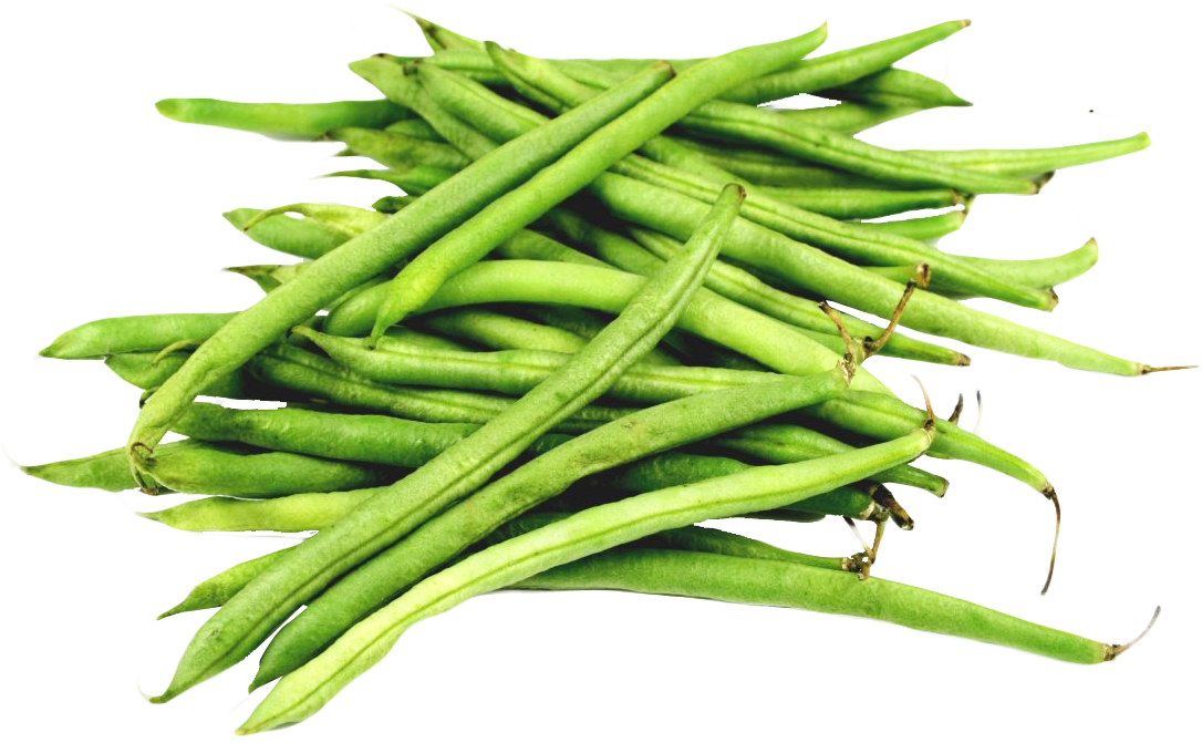 Green Beans Transparent PNG