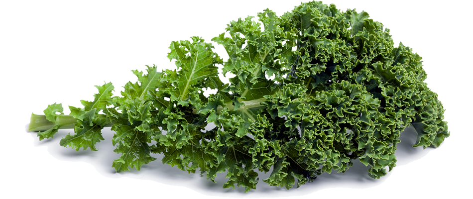 Kale PNG Picture