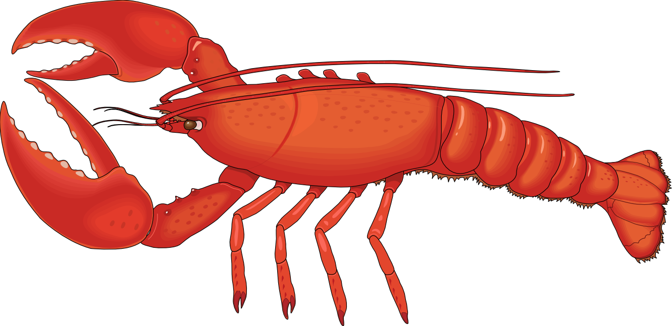 Lobster PNG HD