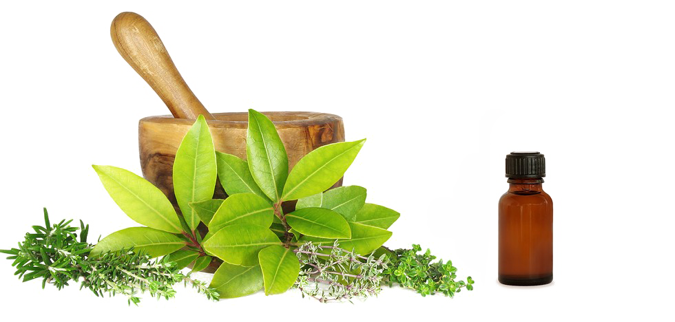 Naturopathie pc PNG
