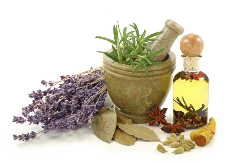 Naturopathie PNG Transparant Beeld