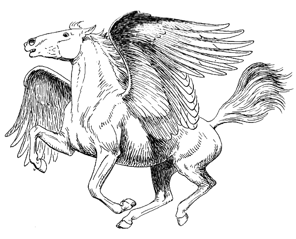 Pegasus PNG Transparent Image