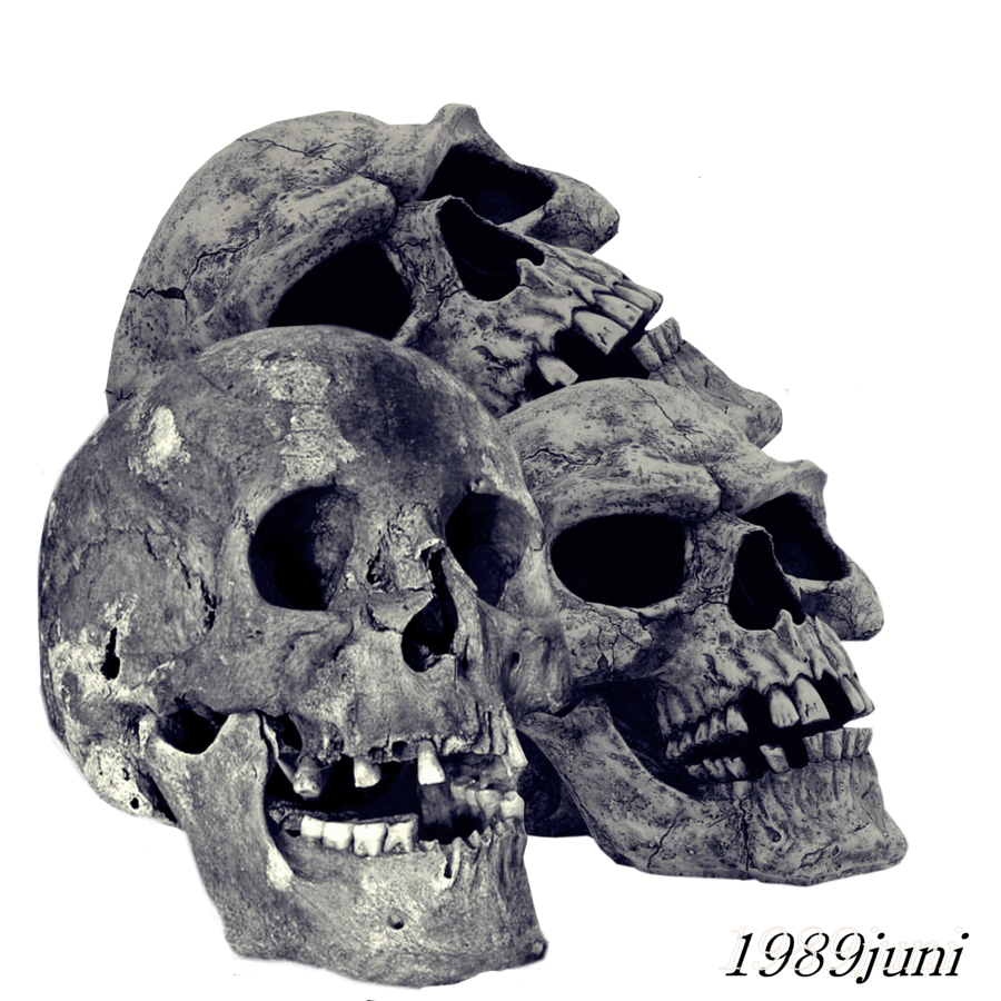 Pile de crânes PNG Image Transparente