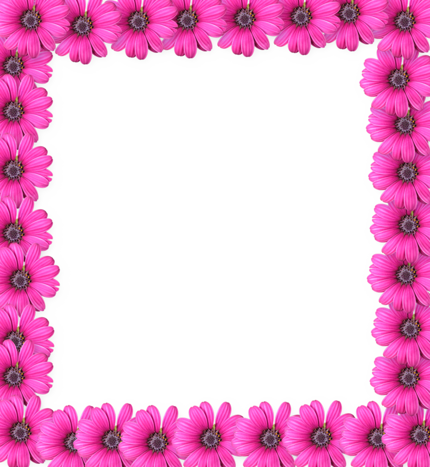 Pink Flower Frame PNG Photo
