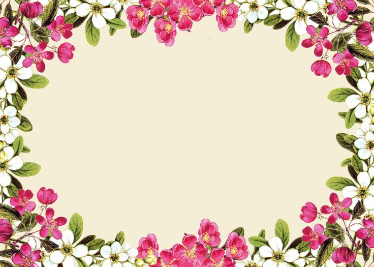 Pink Flower Frame PNG Photos