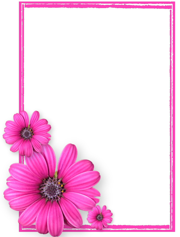 Pink Marco de flores PNG fotos8