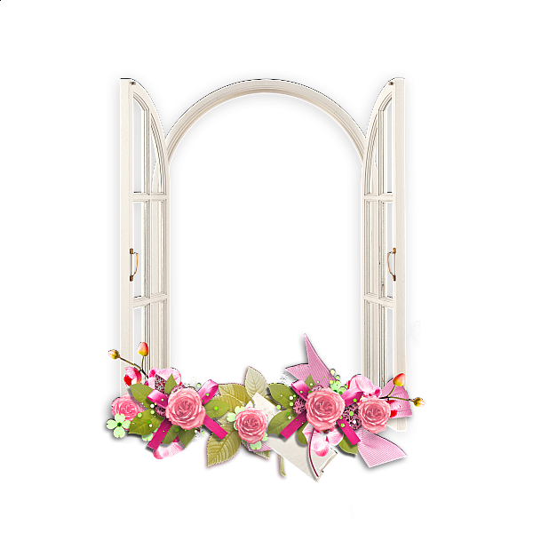 Pink Flower Frame PNG Picture