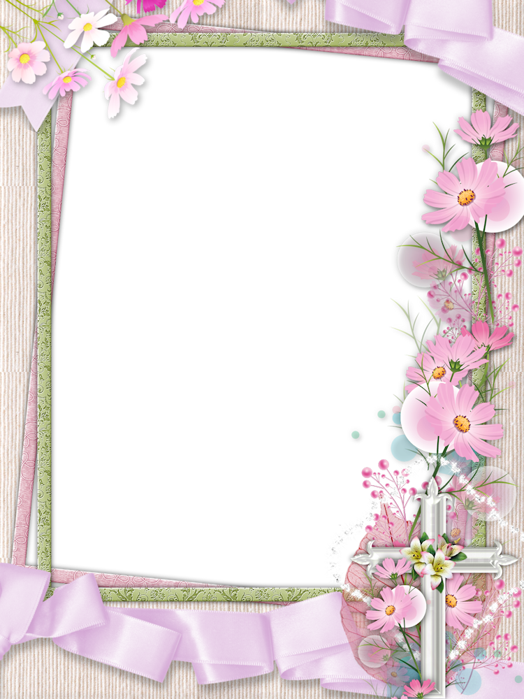 Pink Flower Frame PNG Transparent Picture