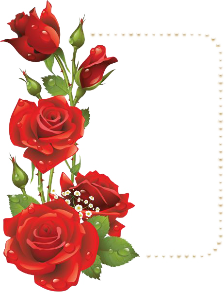 Red Archivo PNG de marco de flores