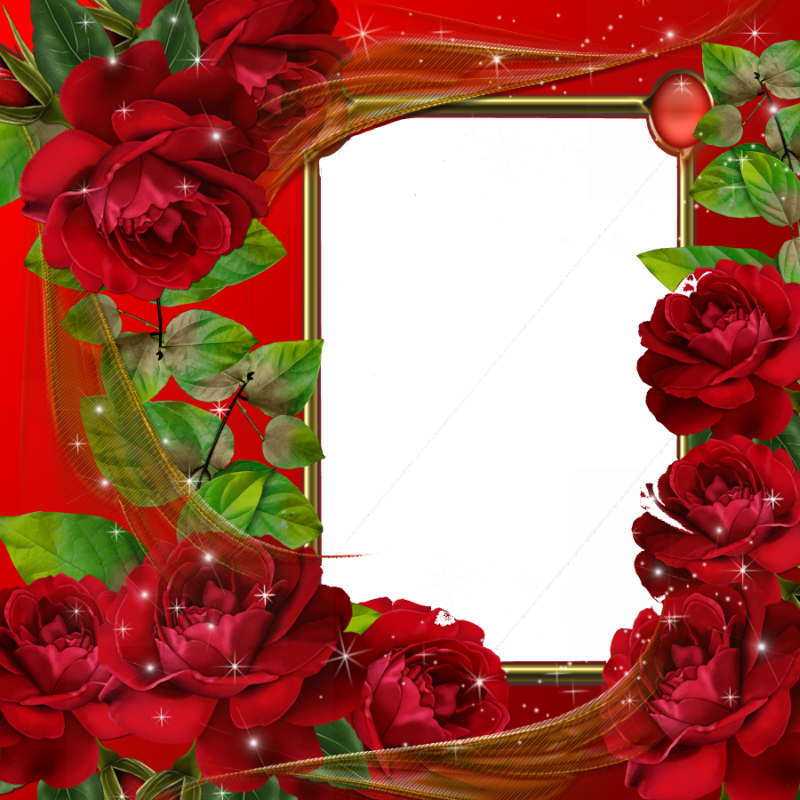 Красная цветочная рамка PNG Pic