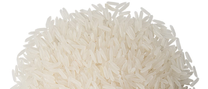 Immagine Trasparente di riso PNG