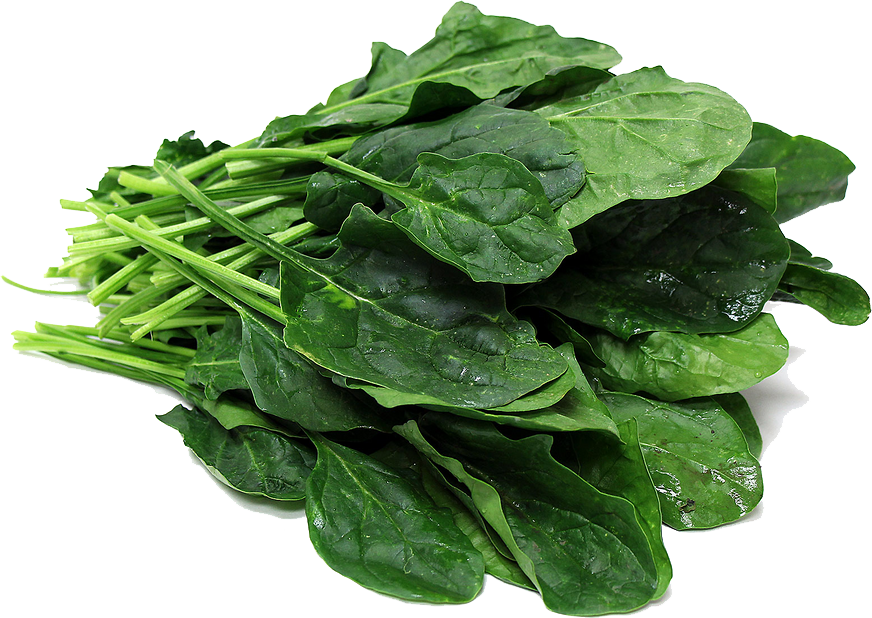 Spinach PNG File