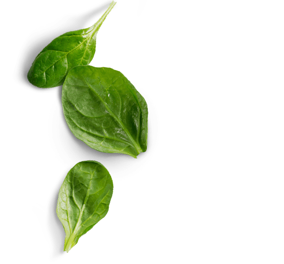 Spinach PNG Photos