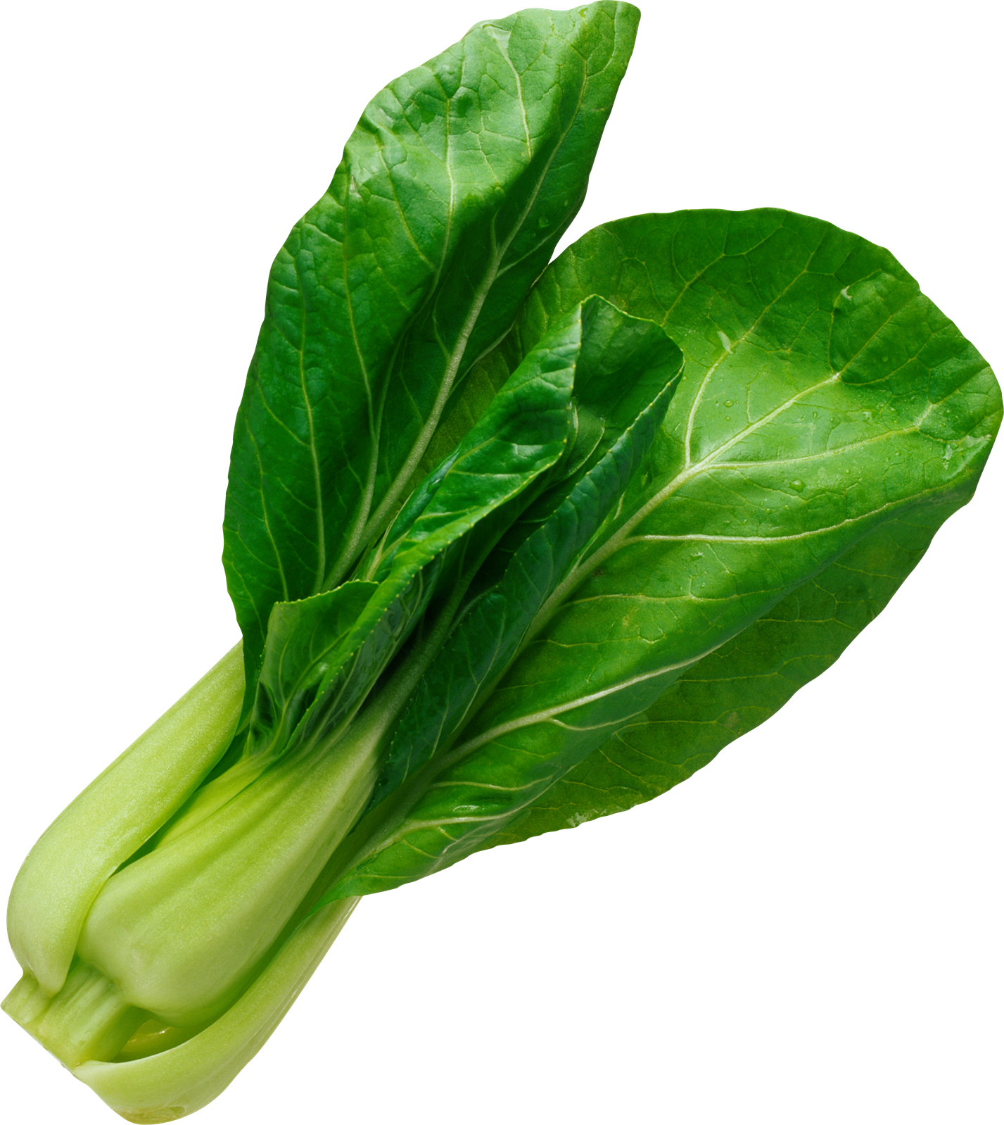 Spinach PNG Pic