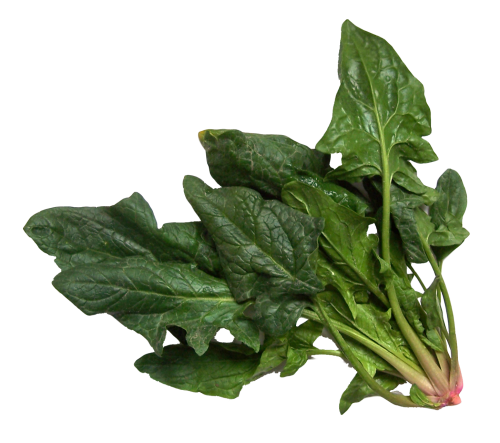 Spinach PNG Picture