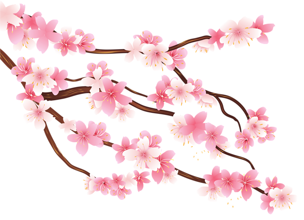 Imagen PNG de la flor de primavera