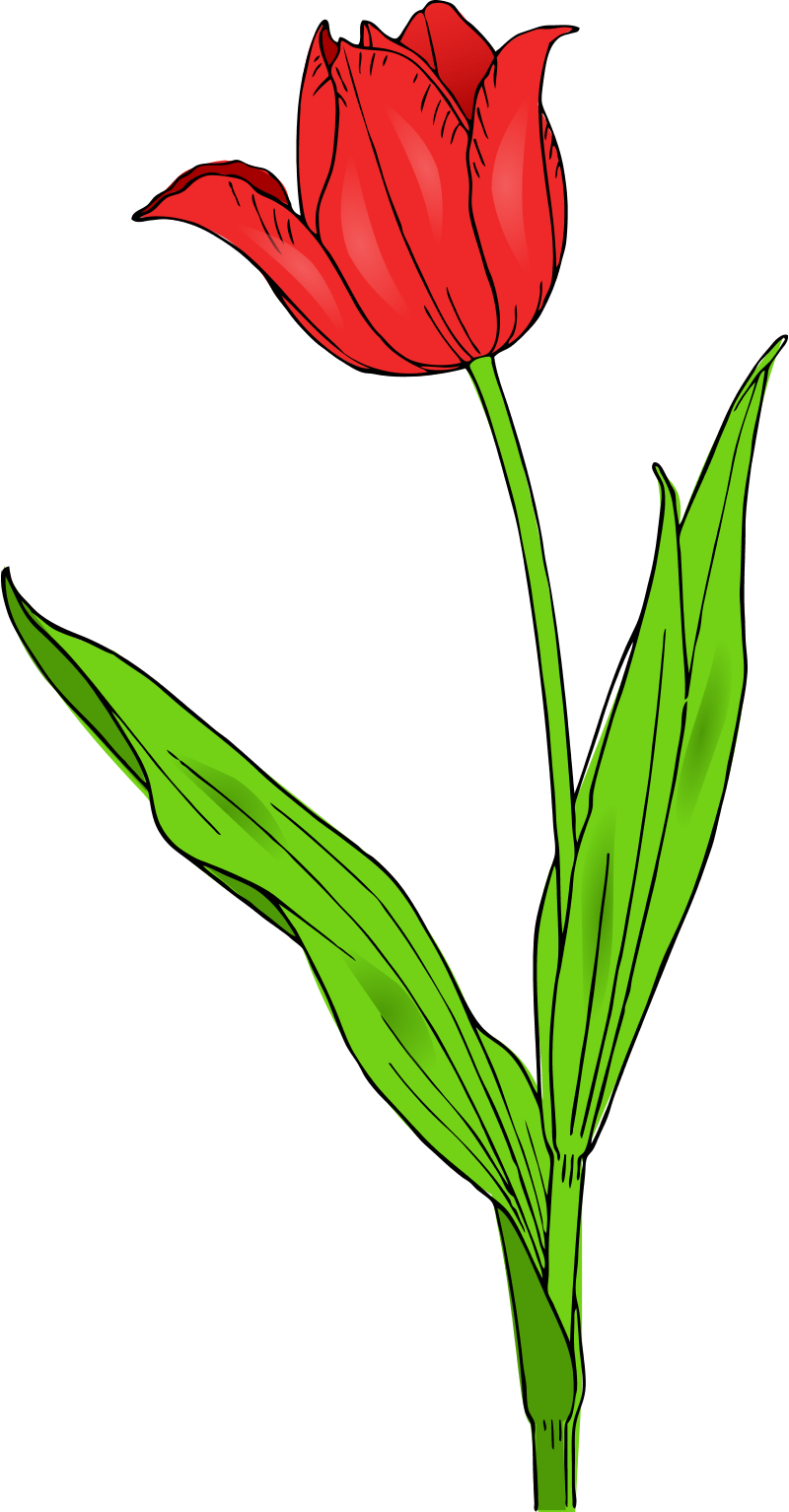 Весенний цветок PNG картина
