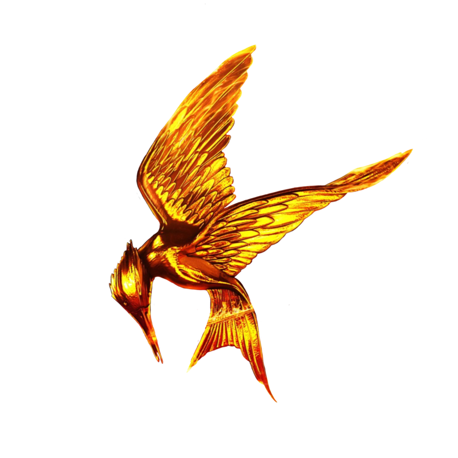 The Hunger Games PNG Free Download