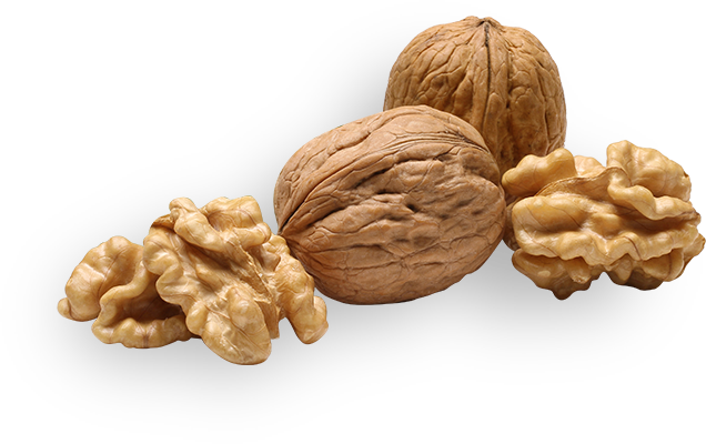 Walnuts PNG Picture