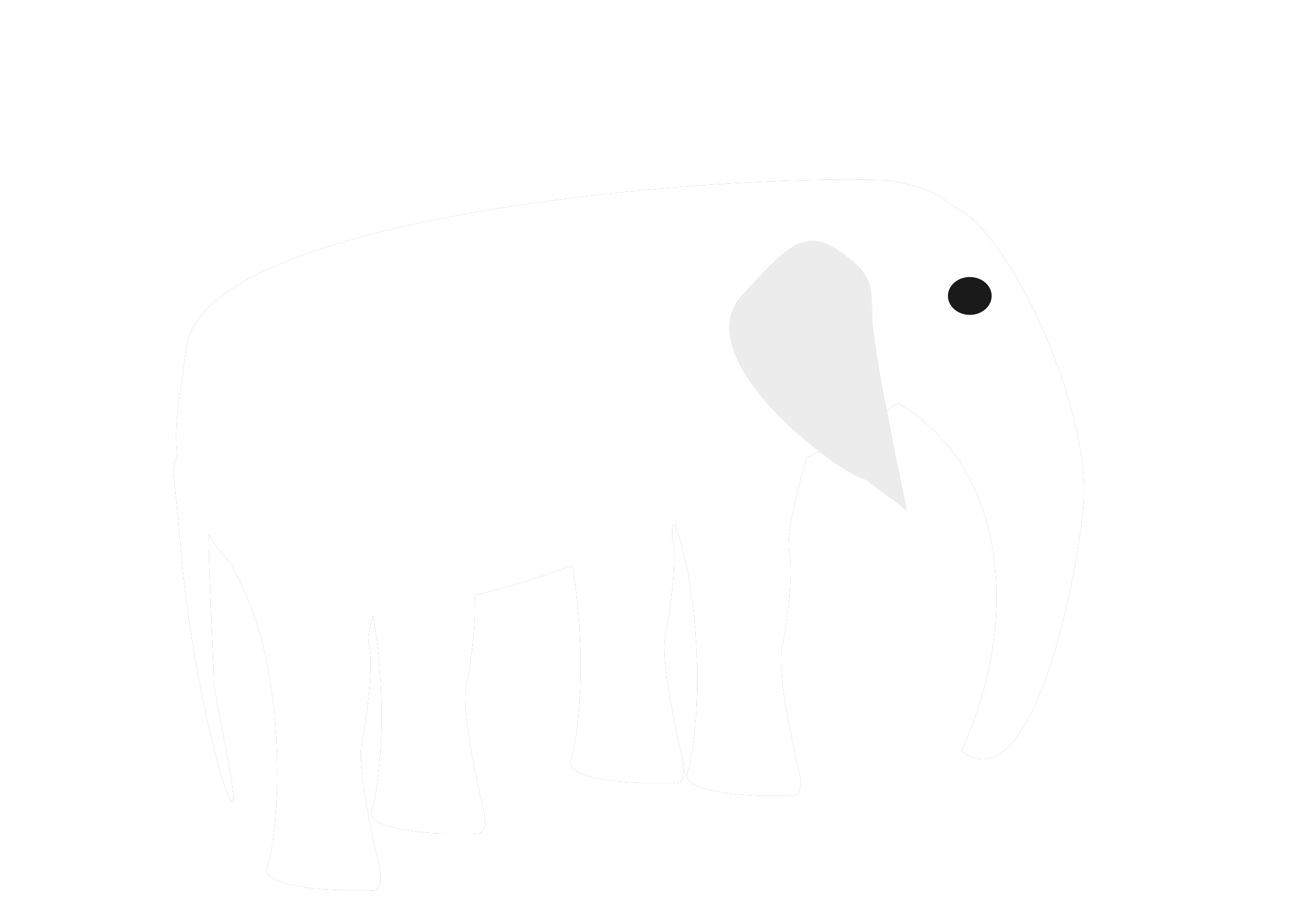 Beyaz fil PNG HD