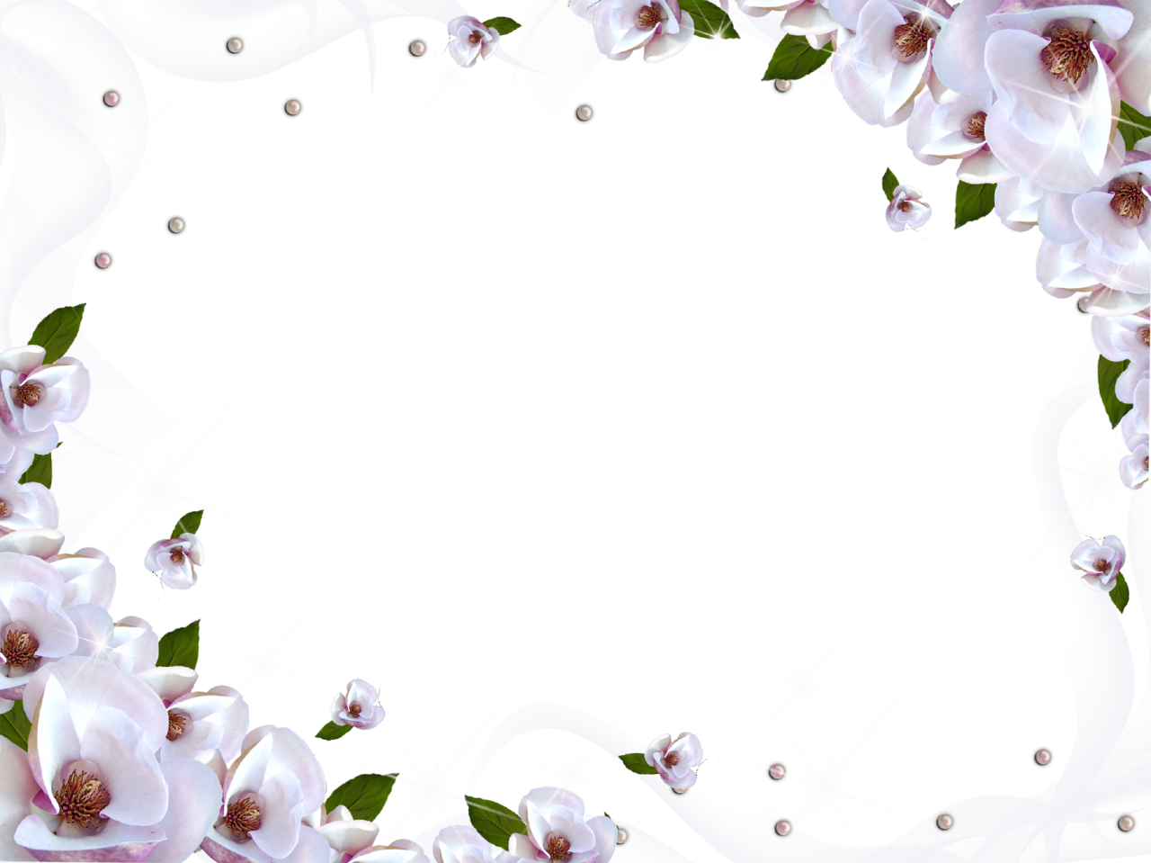 White Imagen PNG del marco de flores