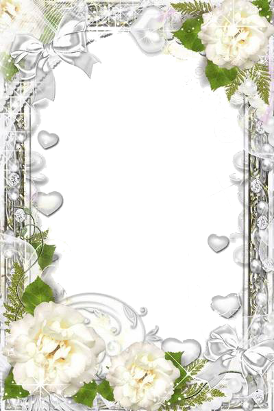 กรอบรูปดอกไม้สีขาว PNG