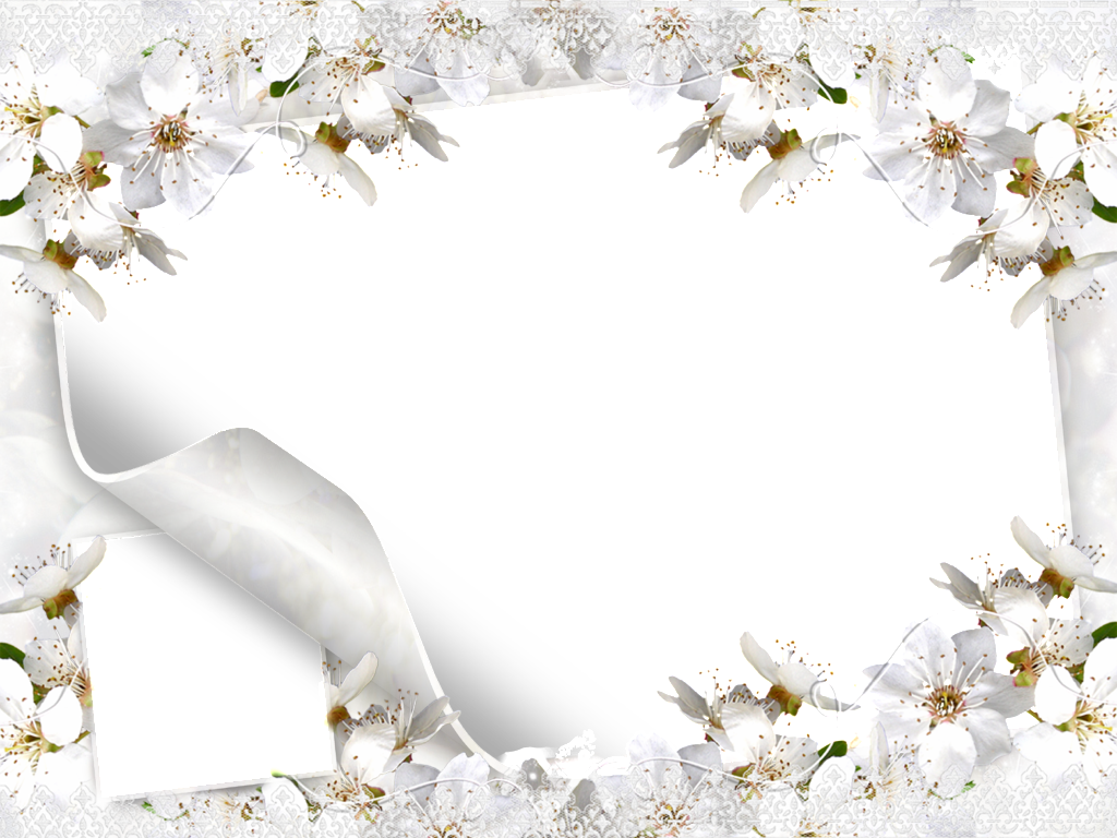 Beyaz çiçek çerçeve PNG resim
