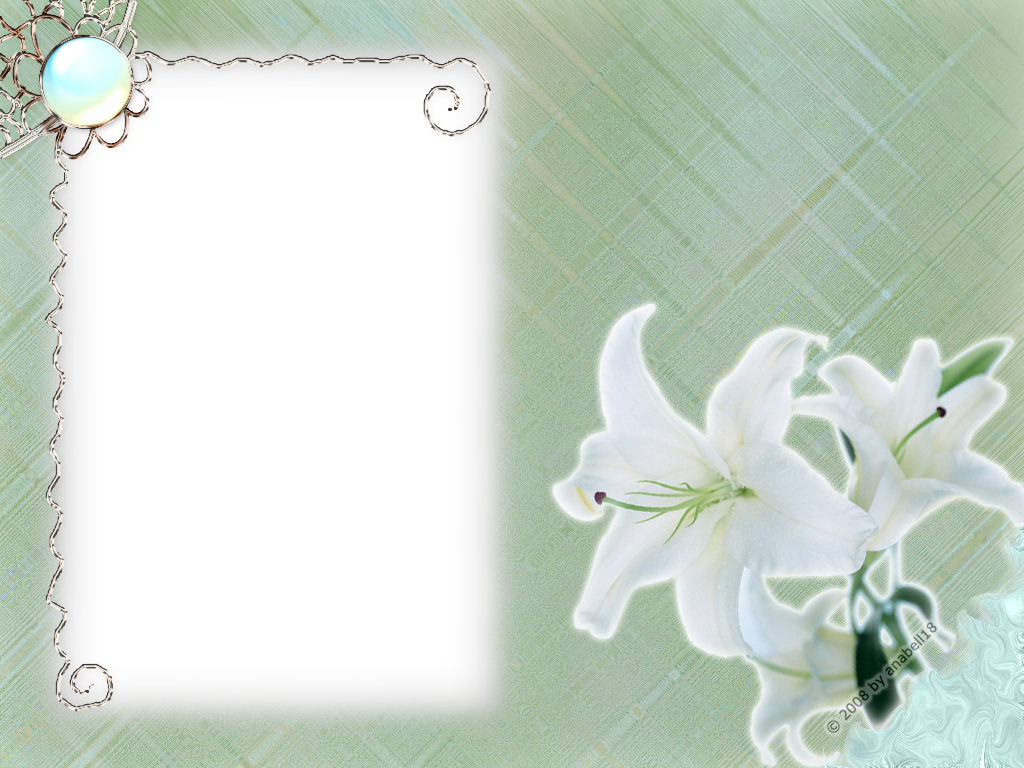 Marco de flores blancas PNG transparente