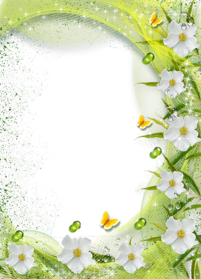 White Flower Frame Transparent Background