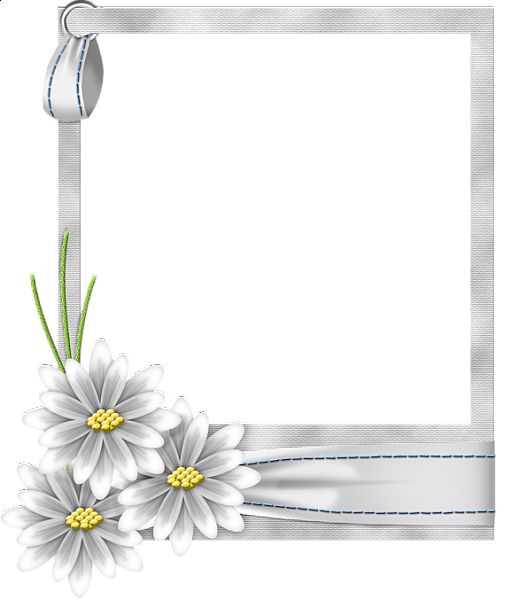 Beyaz çiçek çerçevesi şeffaf PNG