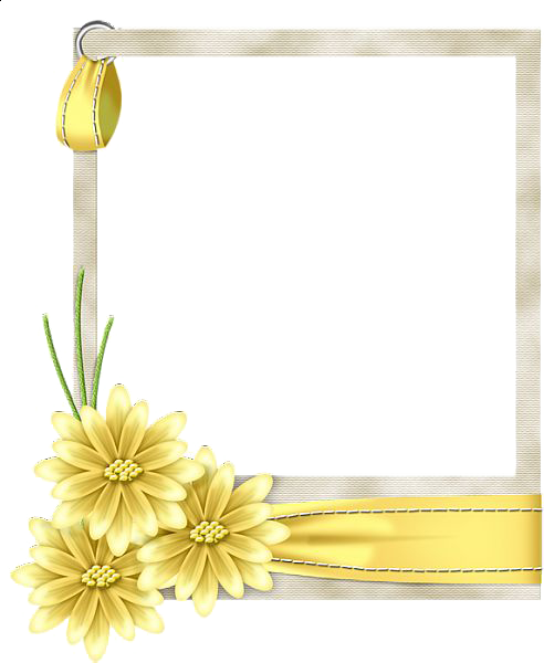 Yellow Border Frame PNG Free Download