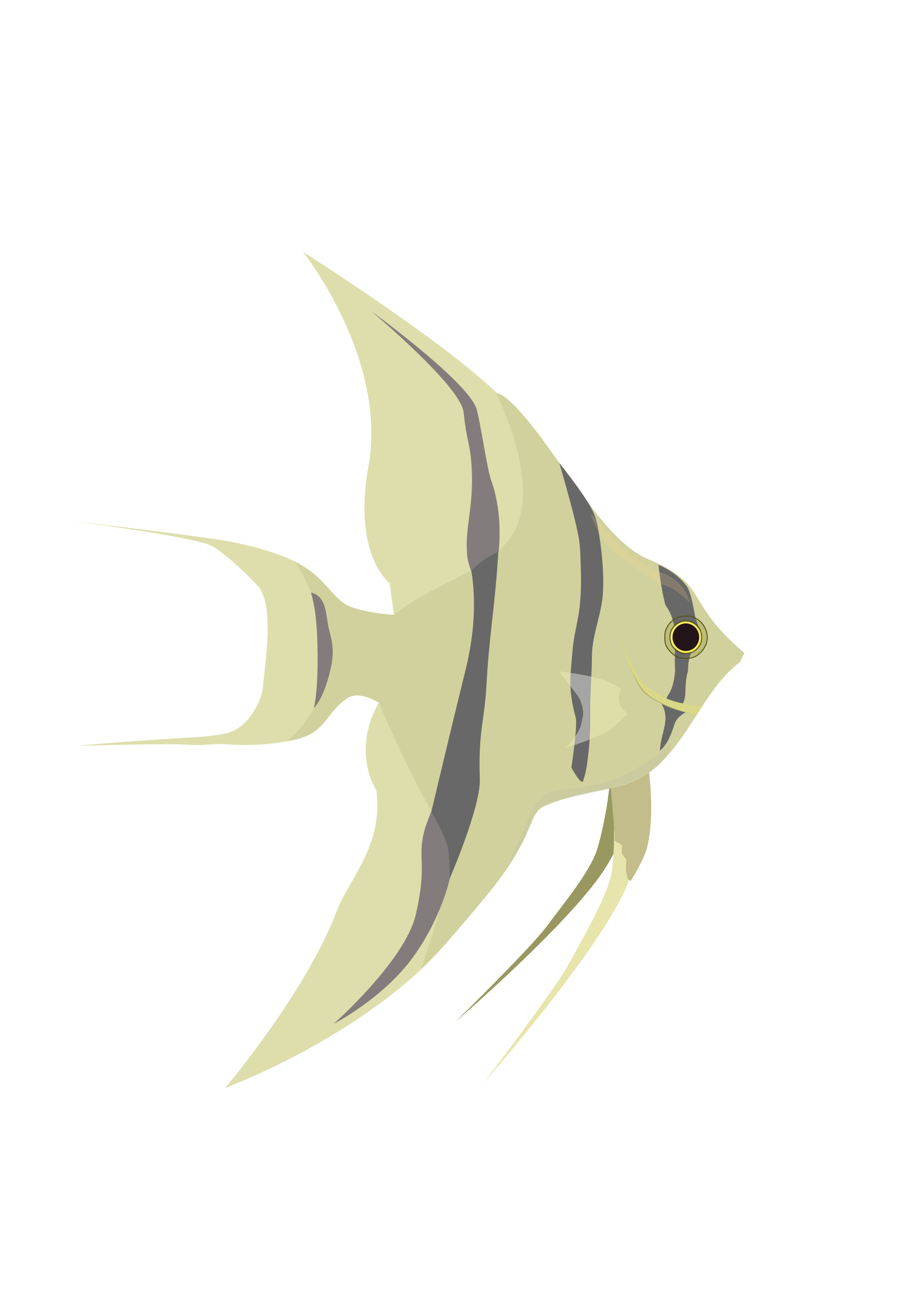 Angelfish PNG Transparent Picture