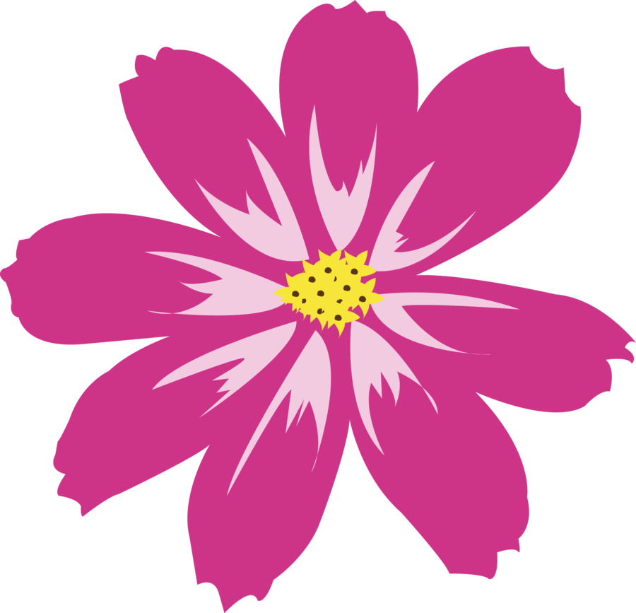 Aster PNG hd