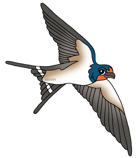 Barn Swallow PNG HD