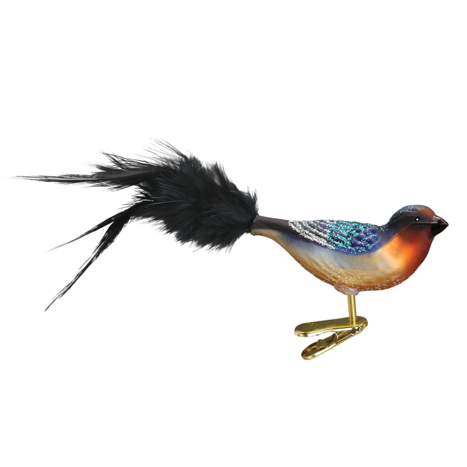 Barn Swallow PNG Transparent HD Photo
