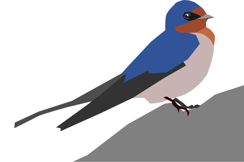 Barn Swallow PNG Transparent Image