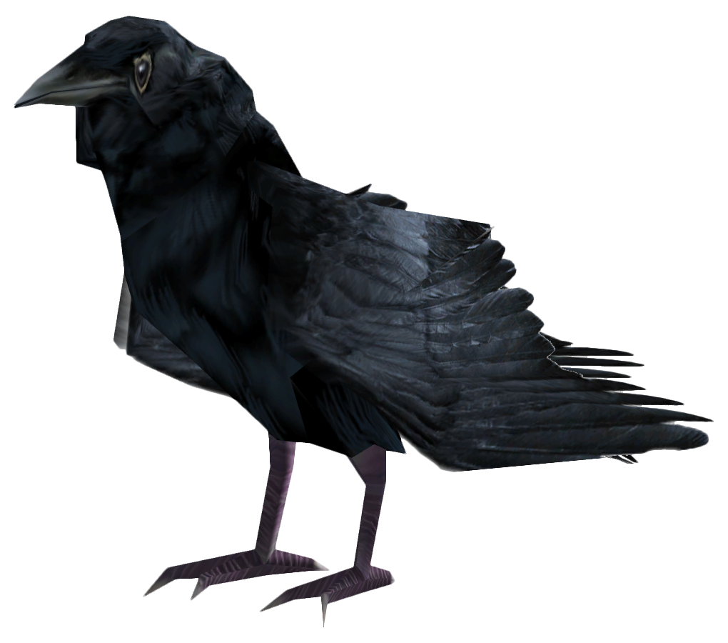 Common Raven PNG Photo