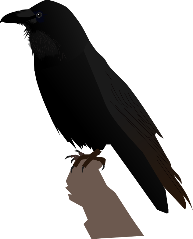 Common Raven Transparent PNG