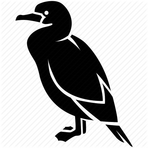 Cormorant PNG Image