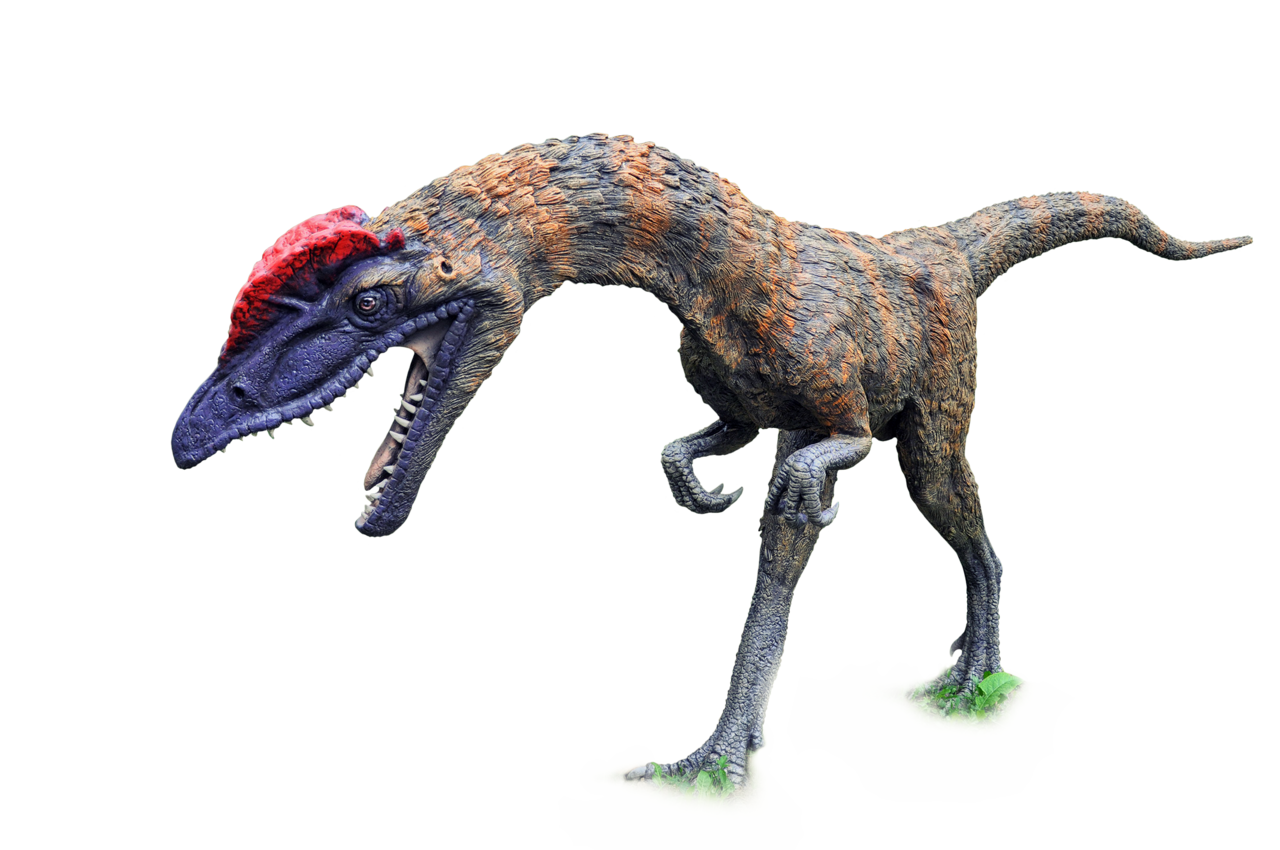 Dinosaur PNG Clipart