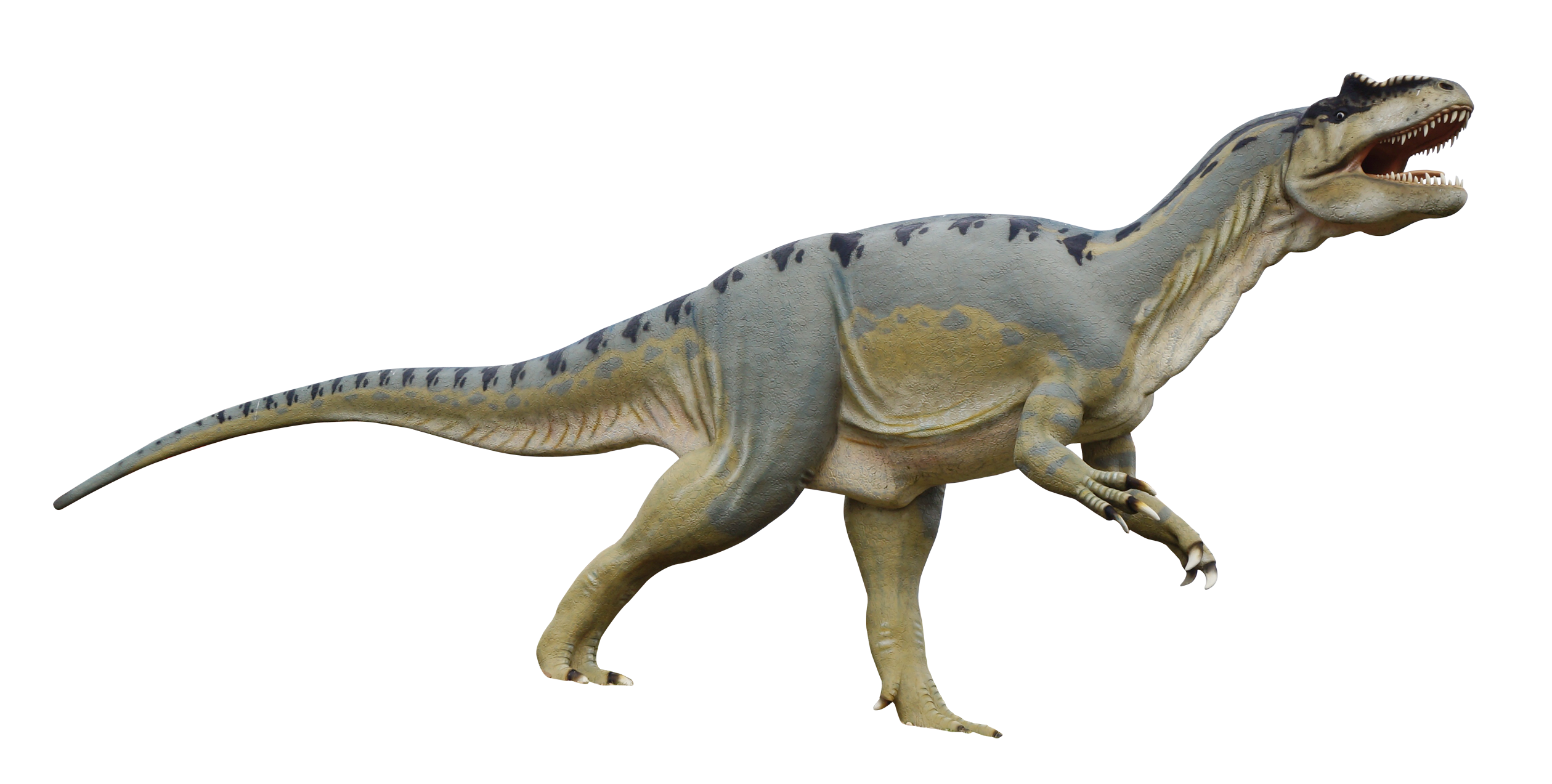 Dinosaurus PNG gratis Download