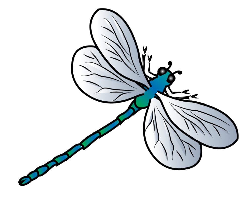 Dragonfly Background PNG