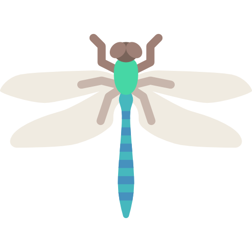 Dragonfly PNG File