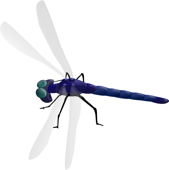 Dragonfly PNG Photos