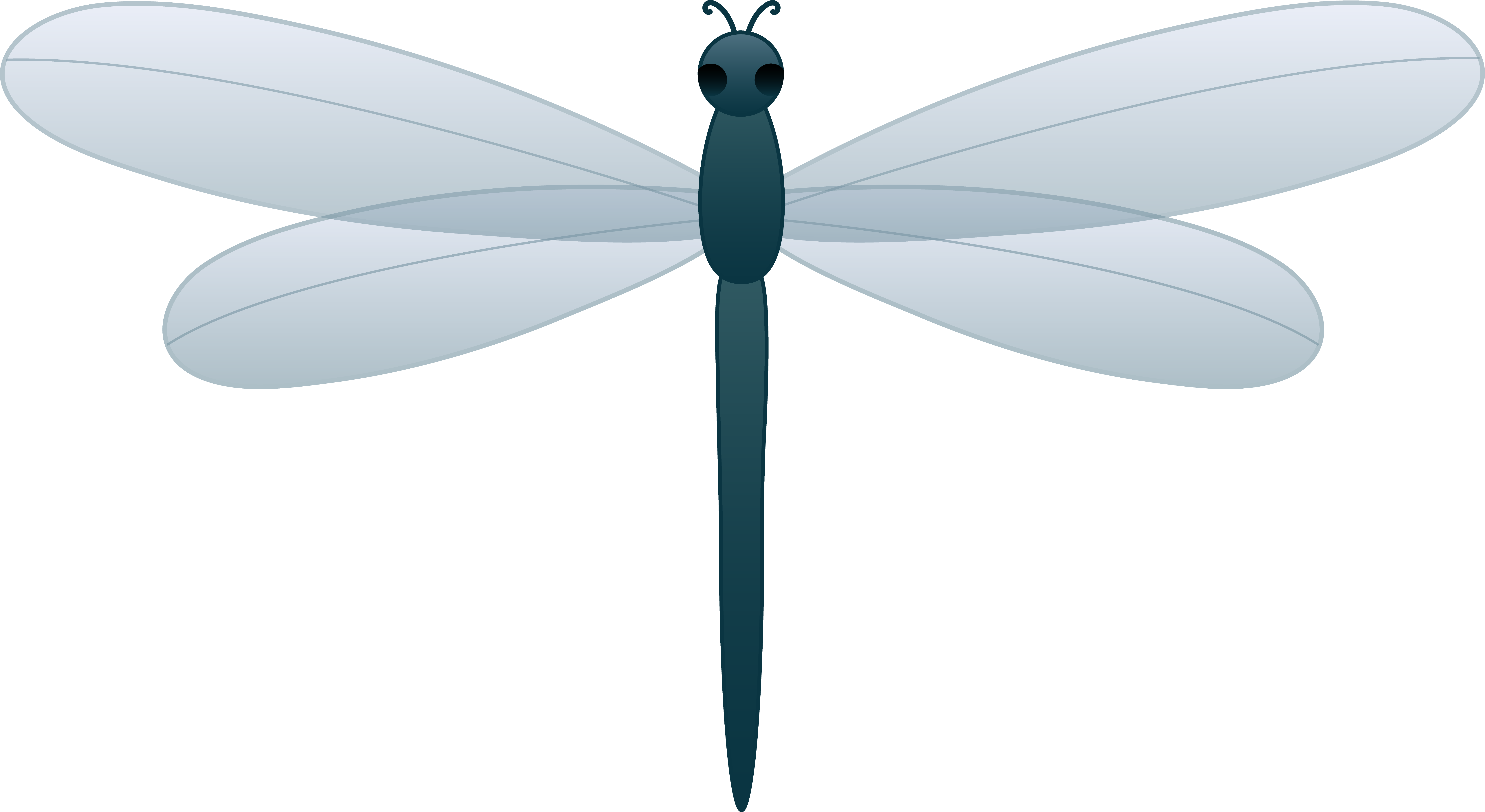 Dragonfly PNG Transparent Picture