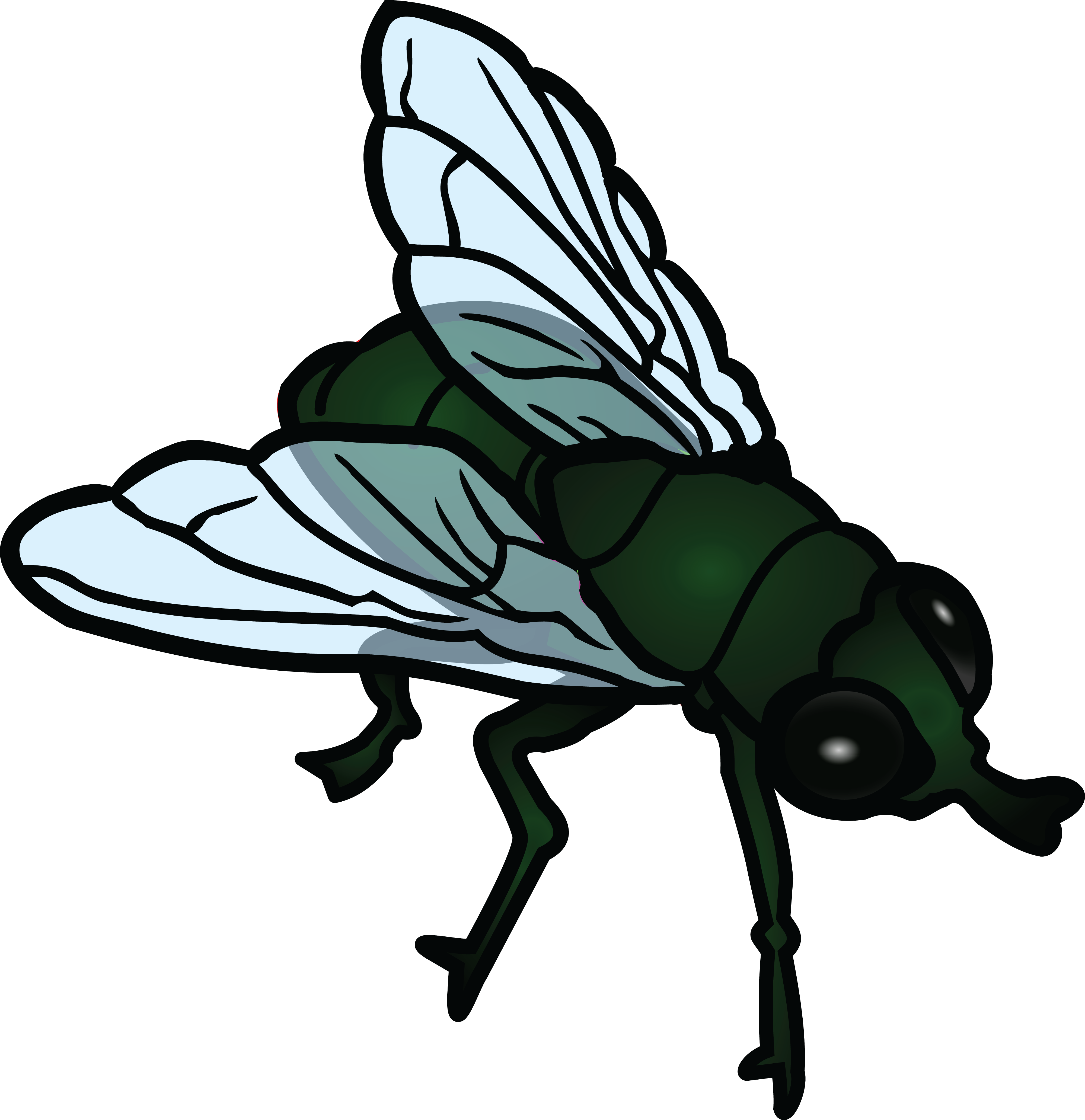 Fly PNG Photos